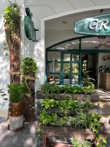 a store front with a bunch of plants at Green Inn Phu Quoc Hotel in Phu Quoc