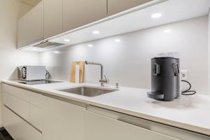 - une cuisine avec un évier et une cafetière sur un comptoir dans l'établissement Luxus Wohnung mit Garten, à Zurich
