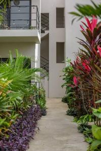 Imagen de la galería de Hobie Suite 1 Bed, Starlink WiFi, Balcony & Pool, en Bacalar