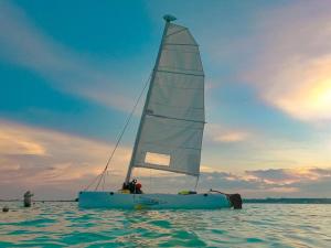 Imagen de la galería de Hobie Suite 1 Bed, Starlink WiFi, Balcony & Pool, en Bacalar