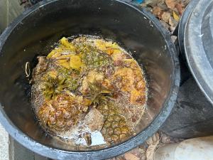 a pot full of food with plants in it at Cookies Salad Resort in Salad Beach