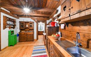 a kitchen with wooden walls and a sink in a cabin at Kuca Za Odmor Agata in Banščica