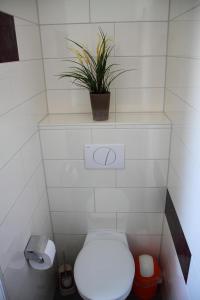 a bathroom with a toilet with a plant on a shelf at Appartements am Schaalsee in Zarrentin