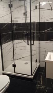 een glazen douche in een badkamer met toilet bij Liliana in Kaluža