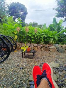 Ảnh trong thư viện ảnh của Cabaña trébol del campo ở Ebéjico