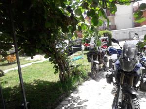 dos motocicletas estacionadas en una acera bajo un árbol en Rooms Struga en Struga