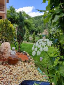 Un jardín fuera de Kursumlijska banja apartman 4+1