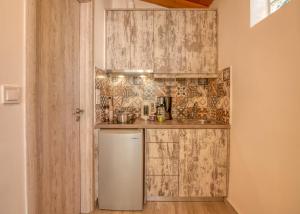 Kuchyň nebo kuchyňský kout v ubytování Vitis Vinifera Tranditional Studio Apartment