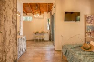 TV a/nebo společenská místnost v ubytování Vitis Vinifera Tranditional Studio Apartment