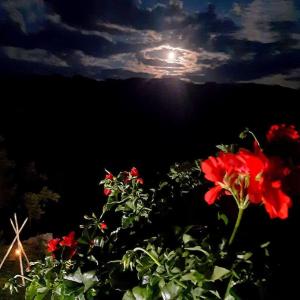 Afbeelding uit fotogalerij van Casa din Cucă in Cornereva