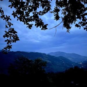 Afbeelding uit fotogalerij van Casa din Cucă in Cornereva +42 foto's