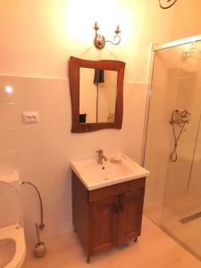 un bagno con lavandino, specchio e doccia di Casa din Cucă a Cornereva