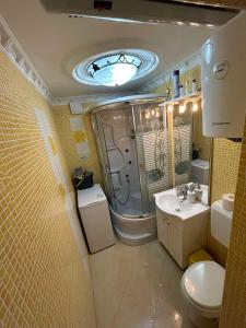 Koupelna v ubytování Apartman Pelcic,with WiFi and free parking