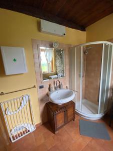 a bathroom with a sink and a shower at Casa Le Scese Porta di Valtellina in Piantedo +10 photos