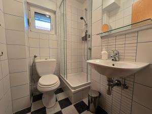 a bathroom with a toilet and a sink and a shower at Villa Katarina in Krapinske Toplice +20 photos