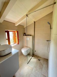 ツコンにあるCasa Vecchiaのトイレとガラスのシャワー付きのバスルーム