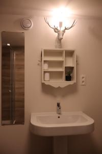 baño con lavabo y cabeza de ciervo en la pared en Le Nid de la Trappiste - MAISON avec JARDIN et BARBECUE, en Rochefort 33 fotos más