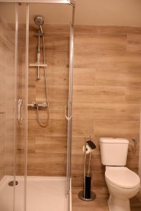un baño con inodoro y ducha en Le Nid de la Trappiste - MAISON avec JARDIN et BARBECUE, en Rochefort