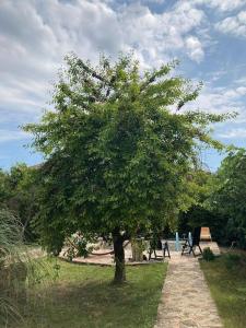 Billede fra billedgalleriet på Maison de Vacances i Vama Veche