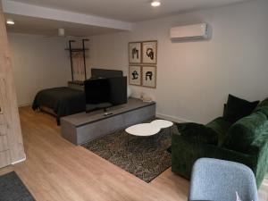 a living room with a couch and a television at Apartament l'Or Blanc in Cardona