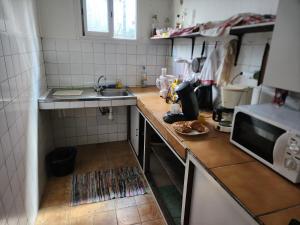 a kitchen with a sink and a microwave at Carrousel in Le Tampon