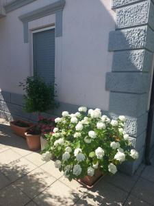 Zahrada ubytování La Casa di Piccolì di Gabriele Martelli e Catia Pacetti - Camera Coccinella