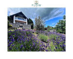 a field of purple flowers in front of a house at Flow House&Garden in Badacsonytomaj