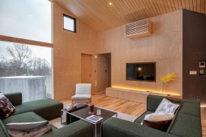 sala de estar con muebles verdes y TV en Foxwood F, en Niseko