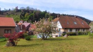 Příroda nedaleko bed and breakfast