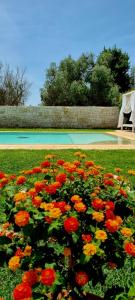 Zahrada ubytování Villa CICIA