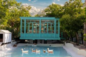 a group of swans in a swimming pool with a building at Nordic Resort in Hamalah
