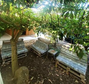 a group of benches under a tree in a yard at Quinta da Norinha in Portimão