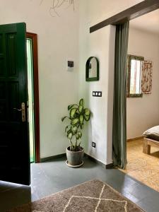 a living room with a plant in a pot next to a door at Studio Aqua in La Oliva