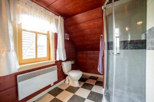 a bathroom with a toilet and a glass shower at Domek NBD-bafia in Zakopane