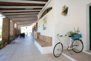 Jízda na kole v ubytování HOTEL SoleMare Gallipoli nebo okolí