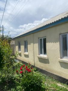 a row of houses with red flowers in a garden at Nomad Guest House in Kochkorka