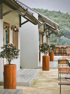 a building with two potted trees on a patio at Gem Market Guest House in Yên Bái