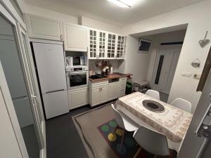 Kuchyňa alebo kuchynka v ubytovaní Apartman pri X Bionic Sphere Samorin s vínnou pivnicou
