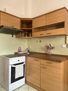 Kuchyň nebo kuchyňský kout v ubytování Apartman VAJB