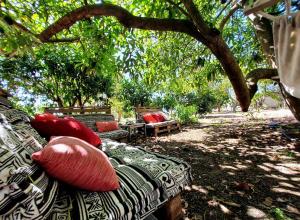 a couch with red pillows sitting under a tree at Quinta da Norinha in Portimão +60 photos