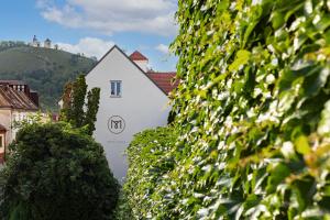 Nespecifikovaný výhled na hory nebo výhled na hory při pohledu z hotelu