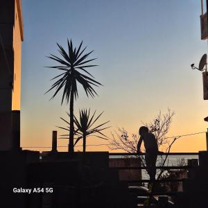 Foto dalla galleria di David Guest House a Sarpi