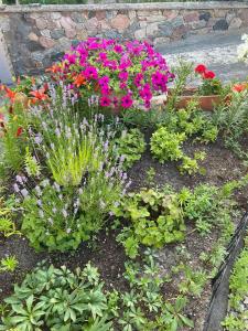 Gallery image of Pensjonat Monika in Mikołajki