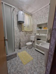 a bathroom with a toilet and a sink at Apartments Vesna in Pinezici