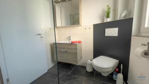 Ένα μπάνιο στο Ferienhaus James +19 φωτογραφίες