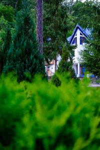 Aed väljaspool majutusasutust Hotel Parc Geoagiu Bai