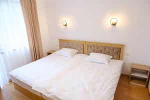 Voodi või voodid majutusasutuse Hotel Parc Geoagiu Bai toas