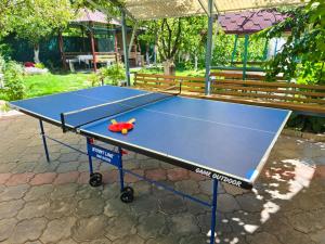 a blue ping pong table with a red toy on it at Guest House Moryachka in Bosteri
