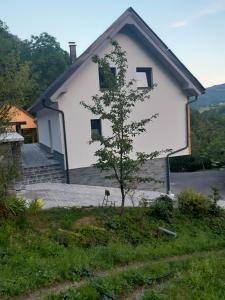 a small tree in front of a white house at Holiday home Baron in Radeče