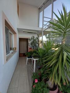 Zahrada ubytování Dominic Country Guest House